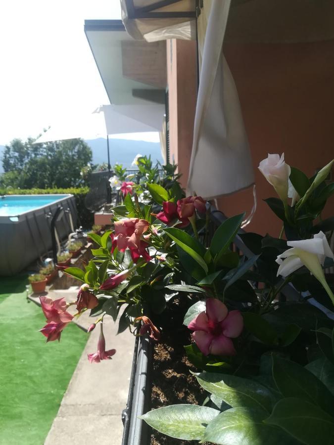 La Fontanella Apartment Polverara Kültér fotó