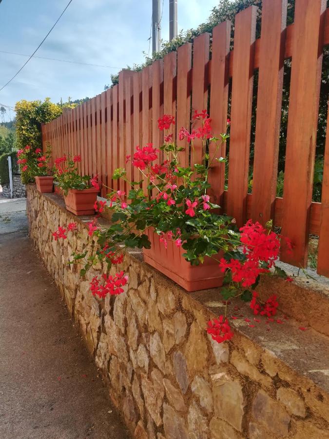 La Fontanella Apartment Polverara Kültér fotó